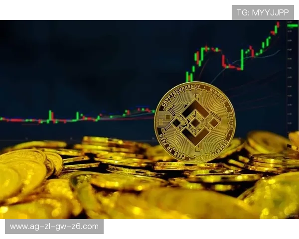 凯时贵宾会安全保障措施与隐私保护策略详尽分析